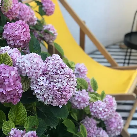 Serguzest Hotel Adalar