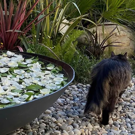 Serguzest Hotel Adalar